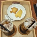 엔젤인어항 이미지