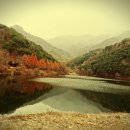 이동중학교 | 포천명산 (가리산, 가리봉)