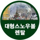 1960 청량 로드 포토존 대형스노우볼렌탈 후기