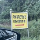 하우올리관광농원 이미지