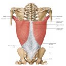 PT특별관 이미지