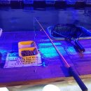 다낚아 낚시터 이미지