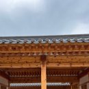 대추밭한의원 이미지