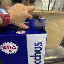 광주합동법무사사무소 이미지