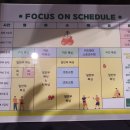 포커스온 복싱 이미지