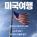 [미국] 미국여행 소소한 일상+우드버리아울렛 탈탈 털기