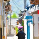 육부촌육개장 | 경주 황리단길 맛집 향화정과 별채반교동쌈밥 푸드파이팅 후기