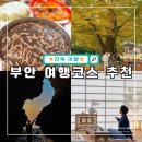 선해식당 | 전북 부안여행 코스 및 부안 가볼만한곳 Top 8 추천