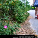 [90/100] 꼬마 아가씨와 함께 걸은 인천둘레길 6코스 (인천대공원~소래습지생태공원~소래포구) 이미지