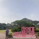 근본을 찾아 떠난 서울