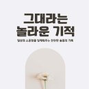 샬롬교육연구소 이미지