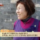 죽도농장 이미지