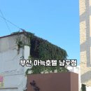 더휴식 아늑 부산남포점 이미지