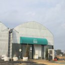 동서농장 | 수도권 유아 텃밭체험 체험농장 &lt;파릇파릇&gt; 이용 솔직 후기