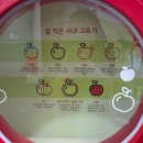 거창사과테마파크 전시실 | [거창] 아이들과 오기 좋은 거창 사과테마파크