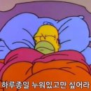 칸다슈가