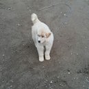 자룡농장 이미지