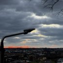 효돈로,일주동로 이미지