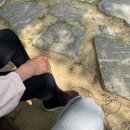 서곶근린공원 주차장 이미지