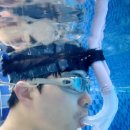 SD수영장 이미지