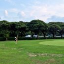 제주행복골프훈련소 행복골프학교 | 제주 골프연습장 추천 : 캐슬렉스 퍼블릭 옆 행복골프훈련소 방문후기