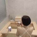 감성세종
