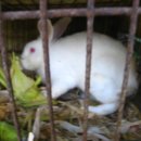 광일농장 이미지