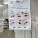 페브뷰티