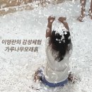 고운나무 | 용인 아이와 가볼만한 곳 이영란의 감성체험 가루나무모래흙 후기