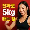 플루800 | 진짜로 5kg 빼는 법 - 다이어트 완전 정복 가이드