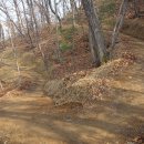 원주굽이길 원10코스 바람머리산길 이미지