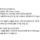 코튼크라시 Daum카페