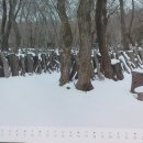 부림2농장 이미지