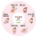 파이널짐 피티샵 이미지