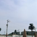 일상)태안1박 2일 야경맛집 “안면도글램핑”안면도 수산시장 “바다수산”,태안 “영빈관”