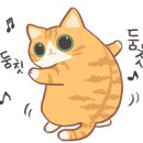 픽커트 이미지