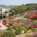 정원 이미지