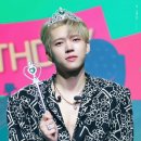 호텔나무 이미지