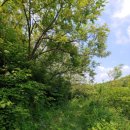 원주굽이길 9코스 스무산둘레길 이미지