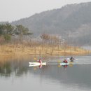 나주호산림욕장 Daum카페