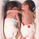 포옹-HUG 이미지