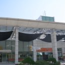 삼국지당구장