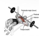 스테디 짐 이미지