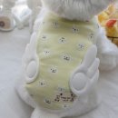 멍이날개 이미지