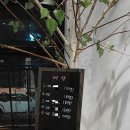 샤브향목동점 이미지