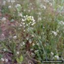 당하1호공원 이미지