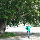 강변이야기길(물소리길 3코스) 이미지