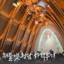 대치성악음악 | 더채플앳청담 채플홀 하객 후기 주차 뷔페 엘리베이터