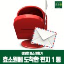 효소 체험 후기. 효소원에 도착한 편지 한 통