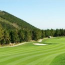 더클래식CC 이미지